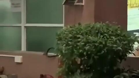 镇江吃瓜新闻视频曝光,揭秘背后惊人真相