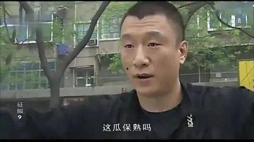 黄哥带你吃瓜,畅游味蕾盛宴之旅