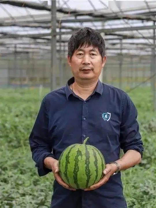 黄哥带你吃瓜,畅游味蕾盛宴之旅