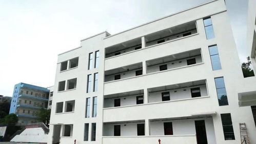 外事北校区吃瓜,校园风云录