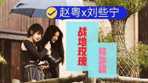 梦姐大型吃瓜现场,揭秘娱乐圈幕后风云