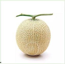 吃瓜群众 瓷盘,吃瓜群众视角下的瓷盘文化探秘