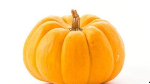 吃瓜群众 瓷盘,吃瓜群众视角下的瓷盘文化探秘