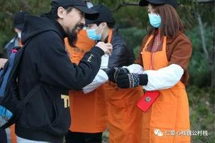 职业吃瓜观众,幕后真相与娱乐江湖风云录