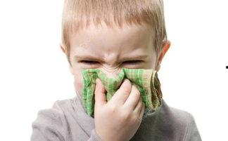 嗓子发痒吃籽瓜