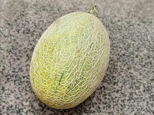 嗓子发痒吃籽瓜