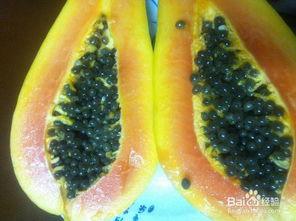 牛奶密瓜怎么吃,牛奶密瓜的创意食用指南